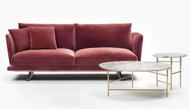生地/革クッション2のSeaterの現代的な居間のソファー