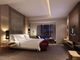 優雅な現代星のホテルの寝室の家具はアパート/客室のために置きます